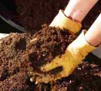 organic fertilizer