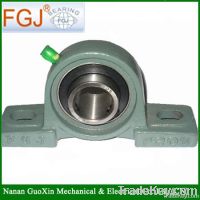 China bearing ucp205