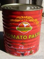 canned tomato paste/ketchup