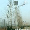 Solar Street Light