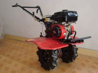 https://www.tradekey.com/product_view/6-5hp-Gasoline-Power-Cultivator-1568784.html