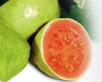 Freeze Dried Guava Powder