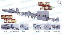 QH Fullly-Automatic Wafer Production Line