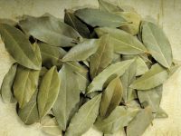 Laurel Leaves