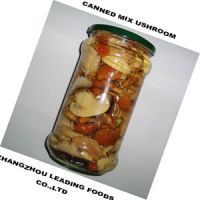 Canned Mixed Mushrooms