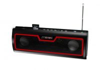 Portable Mini Speaker with FM, SD USB slot