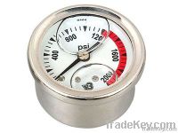 Pressure Gauge