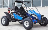 250cc Go Cart EEC & EPA