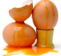 Egg Yolk Lecithin