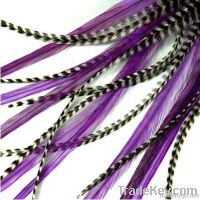 Hot selling Feather hair extension