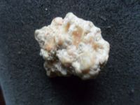 Whale Ambergris