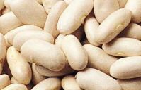 White Beans