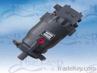 Hydraulic motor and relative components