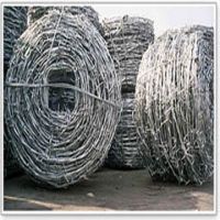 Galvanized Barbed Wire (factroy)