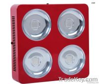 LED Grow lights