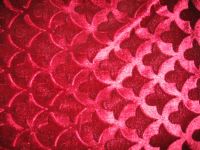 Warp Knitted Fabric