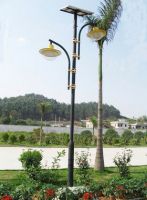 solar street light