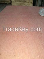 15mm Bintangor Faced Poplar Core Plywood For Commercial Usage