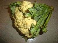 CAULIFLOWER