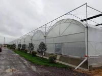 hot sale middle east market SXMW greenhouses for sale