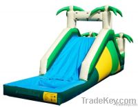 Long water slide 2013