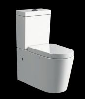 watermark toilet(002)