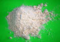 corn/maize flour