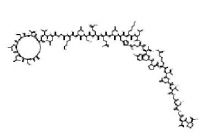 Calcitonin (Salmon) Ph. Eur.