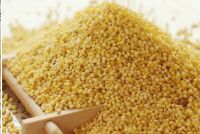 Yellow Millet