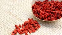 Quality Dried Goji Berry / Organic Goji Berry / Goji Berry for sale