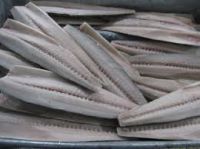 Frozen Mackerel Fillets / Frozen Mackerel Fillets for sale