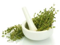 Quality thyme / thyme for sale / thyme oil 