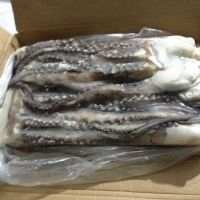 Frozen Octopus Tentacle / fresh Frozen Octopus Tentacle