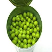 Canned Green Peas In Brine / Green Peas for sale