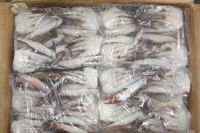 Frozen Fresh Blue Crab for sale / Frozen Blue Crab for sale / Frozen Crab for sale