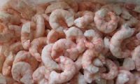 Dried Shrimps / fresh shrimps / frozen shrimps