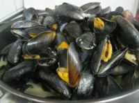 Frozen Mussel Meat / fresh mussel