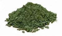 Kelp Powder / Kelp Powder FOR SALE