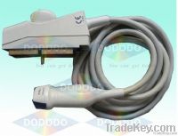 https://ar.tradekey.com/product_view/Acuson-4v2c-Heart-Probe-1934576.html