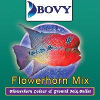 FLOWERHORN  MIX