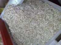 dried anchovies (ikan bilis) sabah