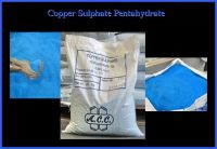 copper sulphate pentahydrrte