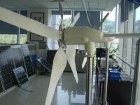 mini wind generator 500W