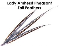 Pheasant and Ostrich hand made Feathers