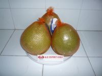 fresh pomelo