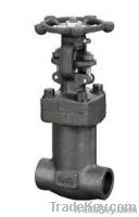 Globe Valve class 800 bellow sealed forged 