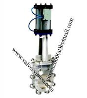 knife gate valve