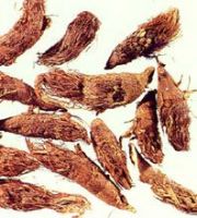 Nutgrass Galingale Rhizome Extract