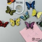 Butterfly paper fridge or refrigerator magnets for home decoration