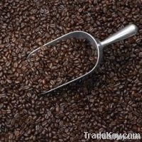https://www.tradekey.com/product_view/Arabic-Coffee-3374261.html